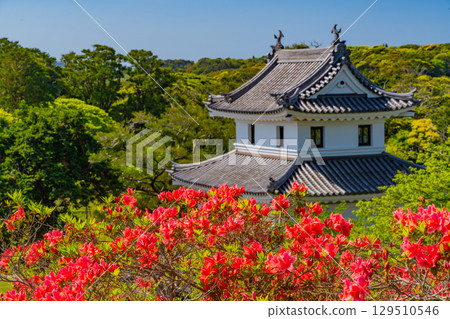 [Nagasaki Prefecture] Hirado Castle and Inui Tower, where bright red Hirado azaleas bloom 129510546