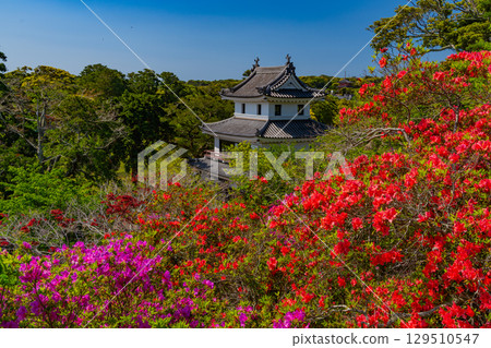 [Nagasaki Prefecture] Hirado Castle and Inui Tower, where bright red Hirado azaleas bloom 129510547