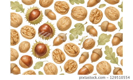 各種堅果的插圖集 129510554