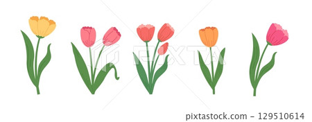 Set of spring tulip flowers in hand draw style. Botanical  vector illustrations. 129510614