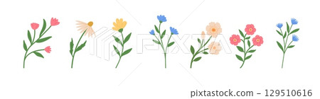 Set of blossom flowers vector illustrations. Hand draw style. Spring wildflower Set of blossom flowers vector illustrations. Hand draw style. Spring wildflower 129510616