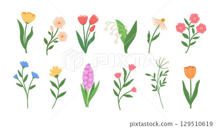 Set of spring wild flowers vector illustrations. Hand draw style Set of spring wild flowers vector illustrations. Hand draw style 129510619