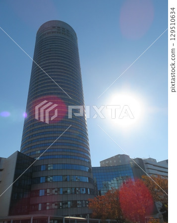 Shin-Yokohama Prince Hotel Ginkgo Shin-Yokohama Prince Hotel Ginkgo 129510634