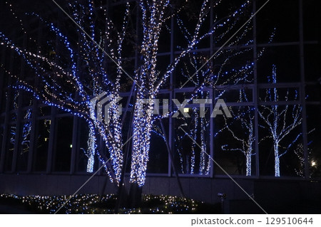 冬夜閃閃發光的林蔭大道-用光與靜默編織的城市詩篇 冬夜閃閃發光的林蔭大道-用光與靜默編織的城市詩篇 129510644