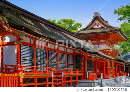 Usa Shrine Usa Shrine 129510736