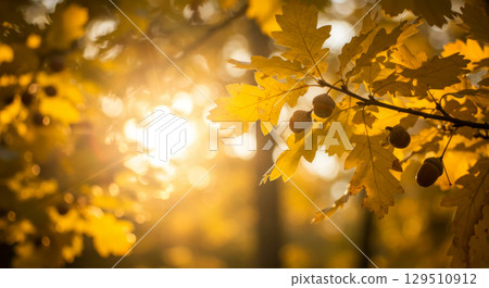 Golden sun flares through autumn oak leaves and acorns, creating a warm, vibrant, and peaceful seasonal background. Golden sun flares through autumn oak leaves and acorns, creating a warm, vibrant, and peaceful seasonal background. 129510912