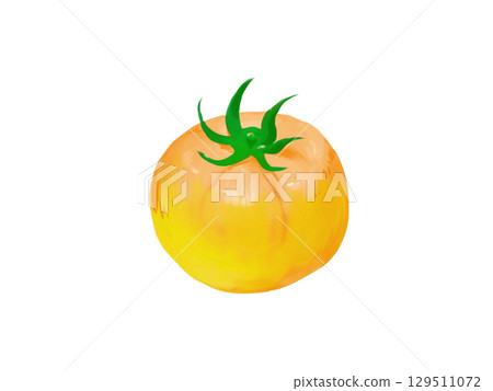 Yellow cherry tomato illustration Yellow cherry tomato illustration 129511072