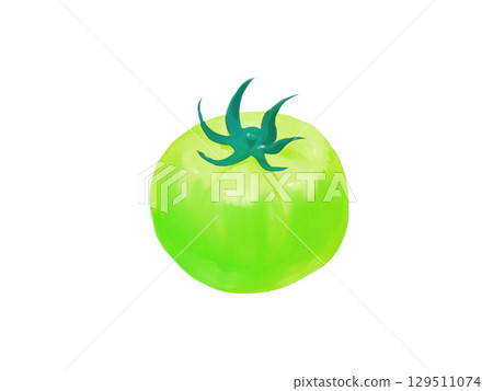 Green cherry tomato illustration 129511074