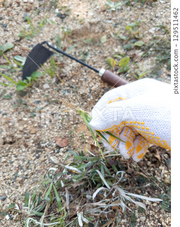 除草者的手 除草者的手 129511462