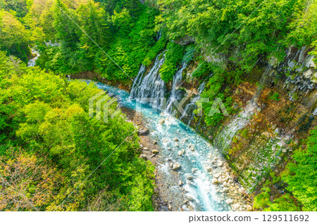 Shirahige Falls in summer, Asahikawa, Biei, Hokkaido 129511692
