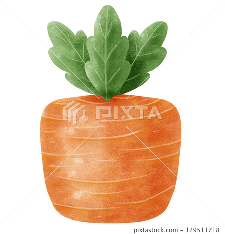 small garden carrot isolated on white background 129511718