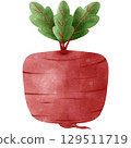 Beetroot isolated on white background 129511719
