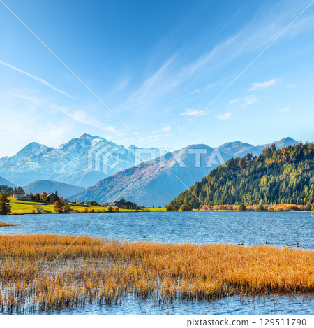 Gorgeous autumn view of Haidersee (Lago della Muta) lake with Ortler peak on background. 129511790