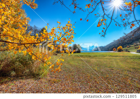 Gorgeous autumn view of Haidersee (Lago della Muta) lake with Ortler peak on background. 129511805