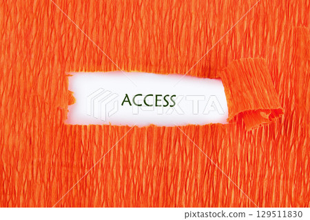 The ACCESS concept word. Business Technology Security Concept 129511830