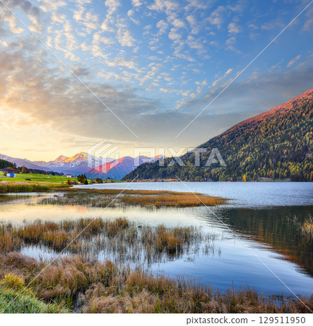 Gorgeous autumn view of Haidersee (Lago della Muta) lake with Ortler peak on background. 129511950