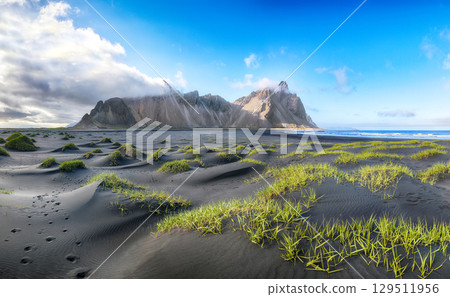 Amazing sunny day and gorgeous rippled black sand beach with dunes and green grass on Stokksnes cape in Iceland. 129511956