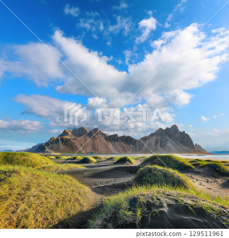 Astonishing sunny day and gorgeous rippled black sand beach with dunes and green grass on Stokksnes cape in Iceland. Astonishing sunny day and gorgeous rippled black sand beach with dunes and green grass on Stokksnes cape in Iceland. 129511961