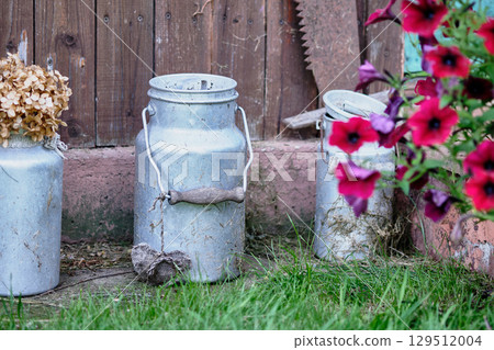 Rustic milk cans and vibrant flowers decorate a garden space in late afternoon light Rustic milk cans and vibrant flowers decorate a garden space in late afternoon light 129512004