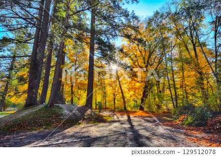 Remarkable autumn view in city park of Sell Am See. 129512078