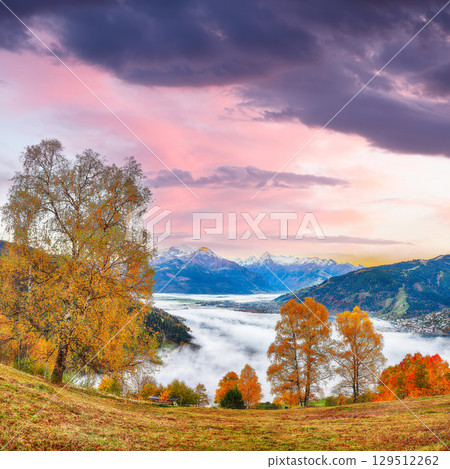 Amazing  autumn view of lake meadows trees and mountains in Sell Am See 129512262