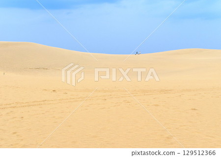 鳥取縣鳥取沙丘 - 夏日沙漠 鳥取縣鳥取沙丘 - 夏日沙漠 129512366