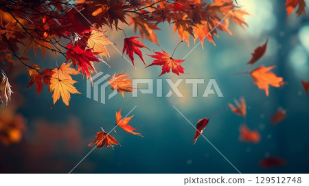 Autumn leaves dancing in the wind, beautiful red and orange maple branches 129512748