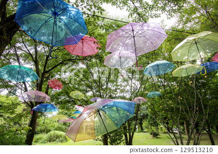 Colorful umbrella 129513210