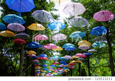 Colorful umbrella Colorful umbrella 129513211