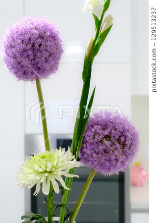 Close-up of Purple Allium and White Chrysanthemum Floral Arrangement Close-up of Purple Allium and White Chrysanthemum Floral Arrangement 129513237