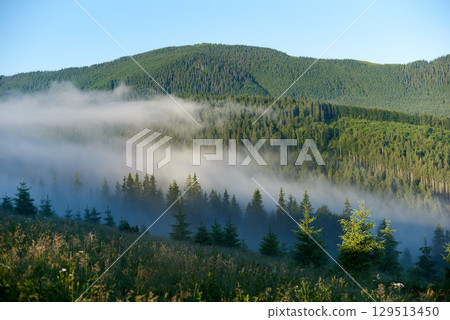 Misty morning in mountain valley. Layers of fog drift through lush green forests, creating serene and mystical atmosphere. Distant hills and peaks rise majestically under clear blue sky. Misty morning in mountain valley. Layers of fog drift through lush green forests, creating serene and mystical atmosphere. Distant hills and peaks rise majestically under clear blue sky. 129513450