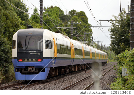 外房線255系特急列車若潮89號 129513468