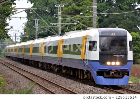 255 series special express Shinjuku Wakashio No. 1 running on the Sotobo Line 255 series special express Shinjuku Wakashio No. 1 running on the Sotobo Line 129513614