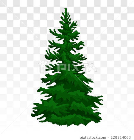 winter forest pine. Winter fir tree. Eps 10. pine trees covered in snow. Realistic green pine trees under snow. Forest winter forest pine. Winter fir tree. Eps 10. pine trees covered in snow. Realistic green pine trees under snow. Forest 129514063