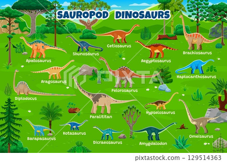 Prehistoric sauropod dinosaurs infographics. Cartoon vector dino species in green jungle. Ancient reptiles with names educational chart with terrain herbivore Jurassic era creatures, extinct dinosaurs 129514363