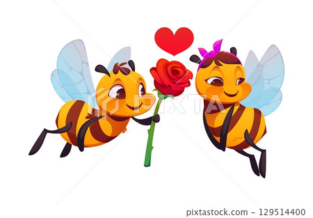 Cartoon cute honey bee characters. Vector sweet honey bees couple in love. One insect offers a red rose to the other. Bright red heart floats above them. Funny personages with emotional expressionsV 129514400