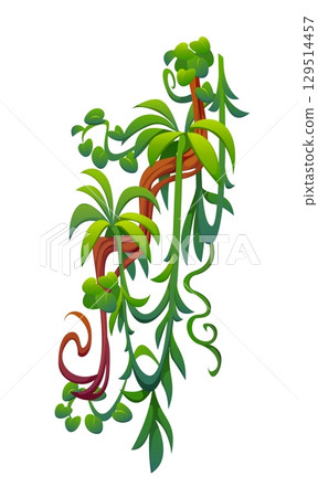 Vertical tropical jungle rain forest liana vine branches with leaves and hanging roots. Cartoon vector Amazon rainforest tree plant thicket, forest climbing green foliage, African nature flora spinney Vertical tropical jungle rain forest liana vine branches with leaves and hanging roots. Cartoon vector Amazon rainforest tree plant thicket, forest climbing green foliage, African nature flora spinney 129514457