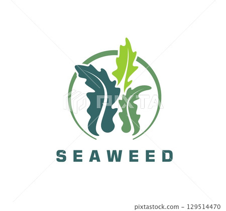 Aquatic seaweed icon, vector emblem with green sea algae plant. Underwater tropical kelp or undersea water life, marine flora for eco friendly, ocean related or sustainable business branding 129514470