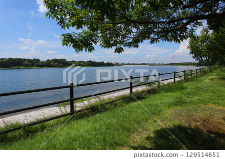 Ayako Ayako 129514651