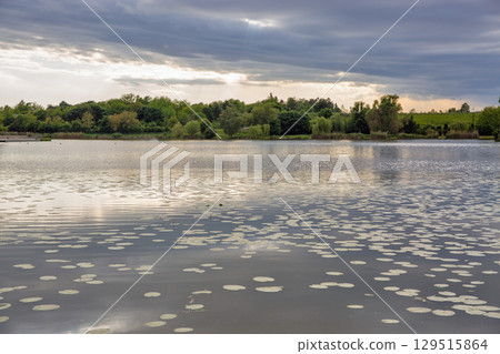 Peaceful Boating lake with lily pads in Nagykanizsa, Hungary. 129515864
