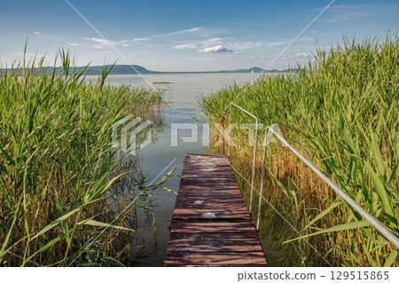 Wooden pier on lake Balaton, Hungary in summer. 129515865