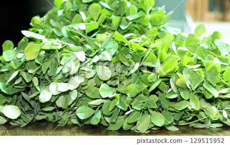 Fresh Fenugreek Leaves (Methi) on Wooden Surface Fresh Fenugreek Leaves (Methi) on Wooden Surface 129515952