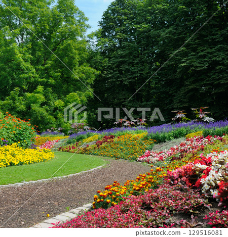 Flowerbed in gardens and parks. Flowerbed in gardens and parks. 129516081