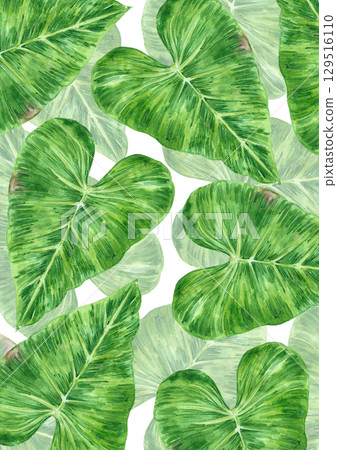 Tropical leaves poster, hand drawn watercolor illustration isolated on white background. Can be used for cards, invitation and other printed products. Tropical leaves poster, hand drawn watercolor illustration isolated on white background. Can be used for cards, invitation and other printed products. 129516110