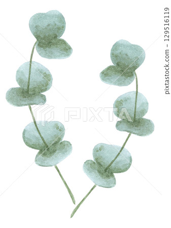 Hand drawn watercolor blue eucalyptus leaves poster isolated on white background. Can be used for post card invitation and other printed products. Hand drawn watercolor blue eucalyptus leaves poster isolated on white background. Can be used for post card invitation and other printed products. 129516119