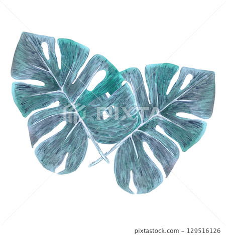 Tropical blue leaves composition, hand drawn watercolor illustration isolated on white background. Can be used for card, scrapbook and other printed products. Tropical blue leaves composition, hand drawn watercolor illustration isolated on white background. Can be used for card, scrapbook and other printed products. 129516126