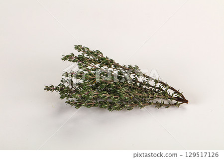 Fresh green Thyme branch isolated 129517126