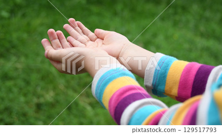 Small child hands catch raindrops into palms of hands closeup wi Small child hands catch raindrops into palms of hands closeup wi 129517793