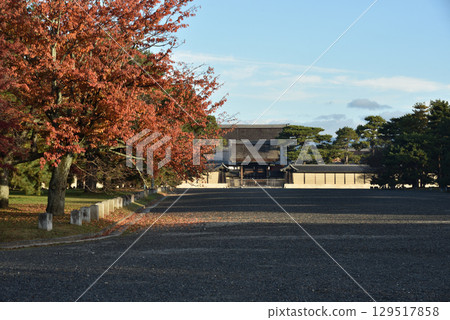 Autumn in Kyoto Gyoen: Maple trees and Kenreimon Gate (Kamigyo Ward, Kyoto City) Autumn in Kyoto Gyoen: Maple trees and Kenreimon Gate (Kamigyo Ward, Kyoto City) 129517858