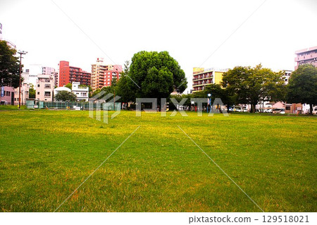Lawn park Lawn park 129518021